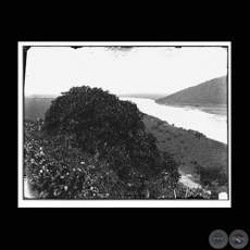 RÍO PARAGUAY HACIA EL MONTE - Fotografía de GUIDO BOGGIANI